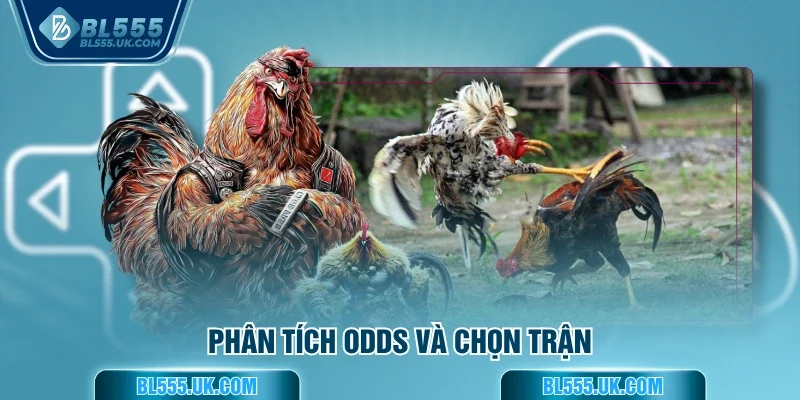 Phân tích odds và chọn trận